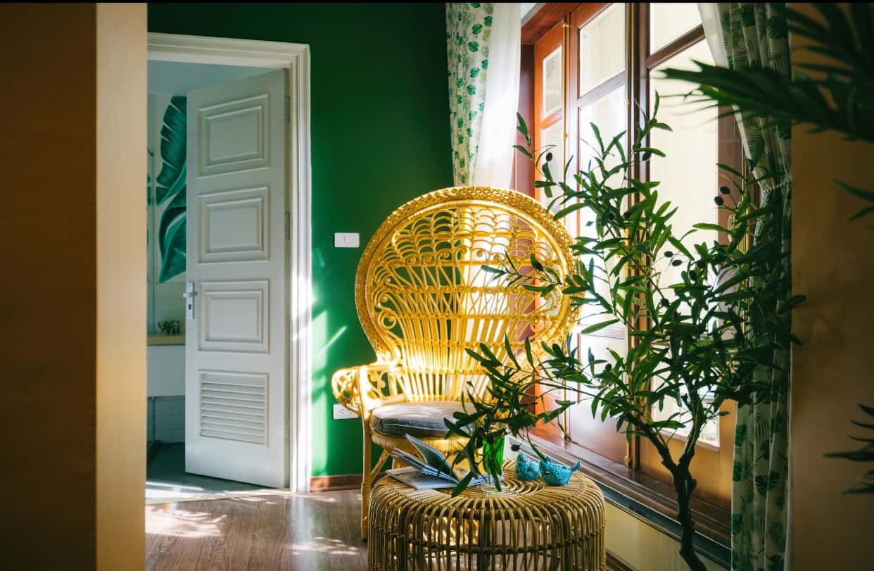 Tropical suite, Hoàn Kiếm — ảnh 10