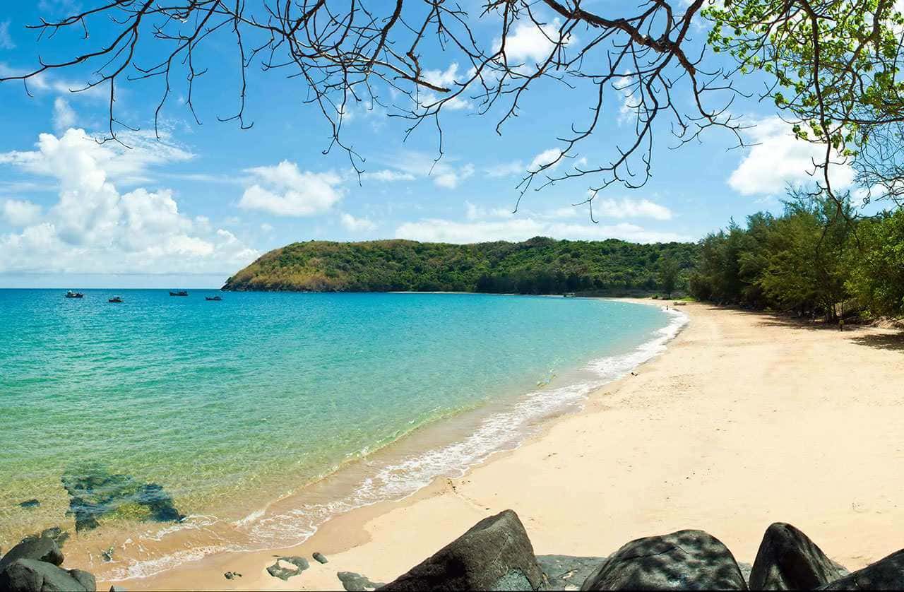bai dam trau dia diem du lich vung tau attvut23