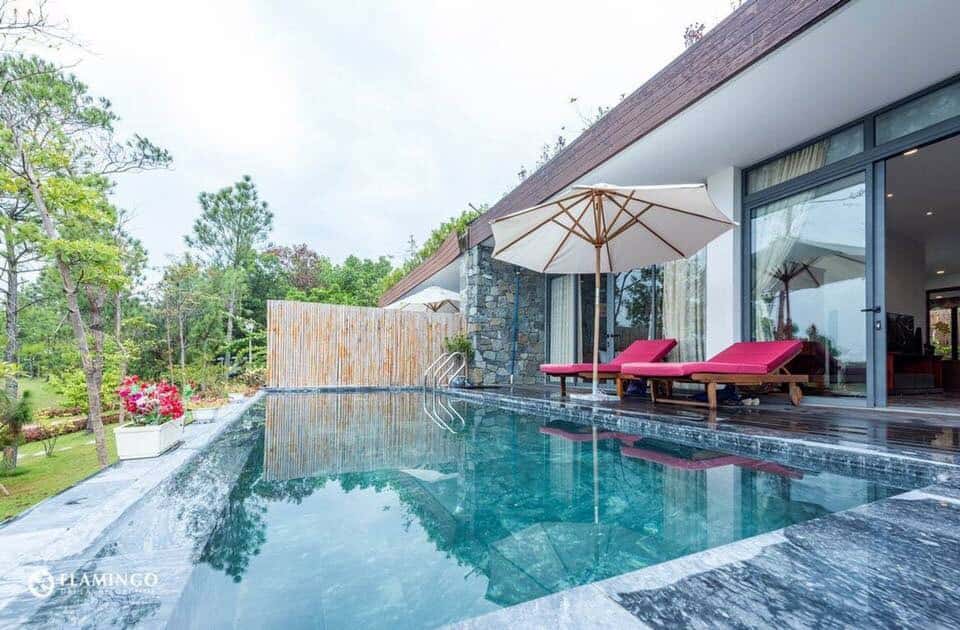 c10 flamingo dai lai