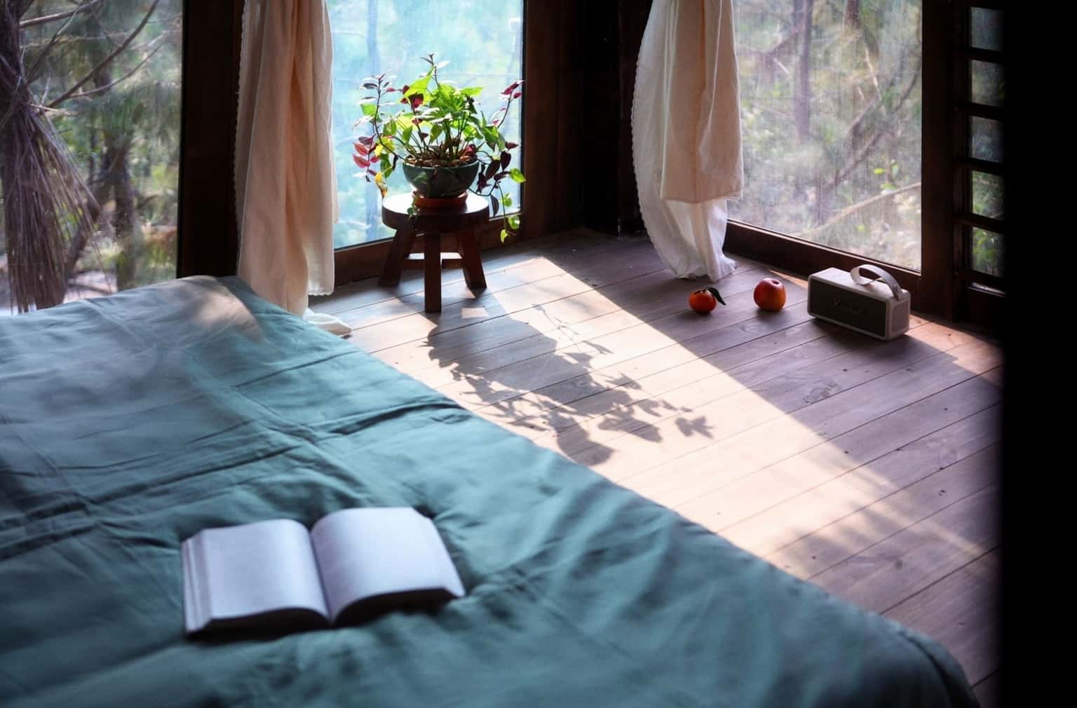 Nhà Lớn Đồi Thông (Đảo Bên Rừng) tại Cẩm Lĩnh, Ba Vì — ảnh 29