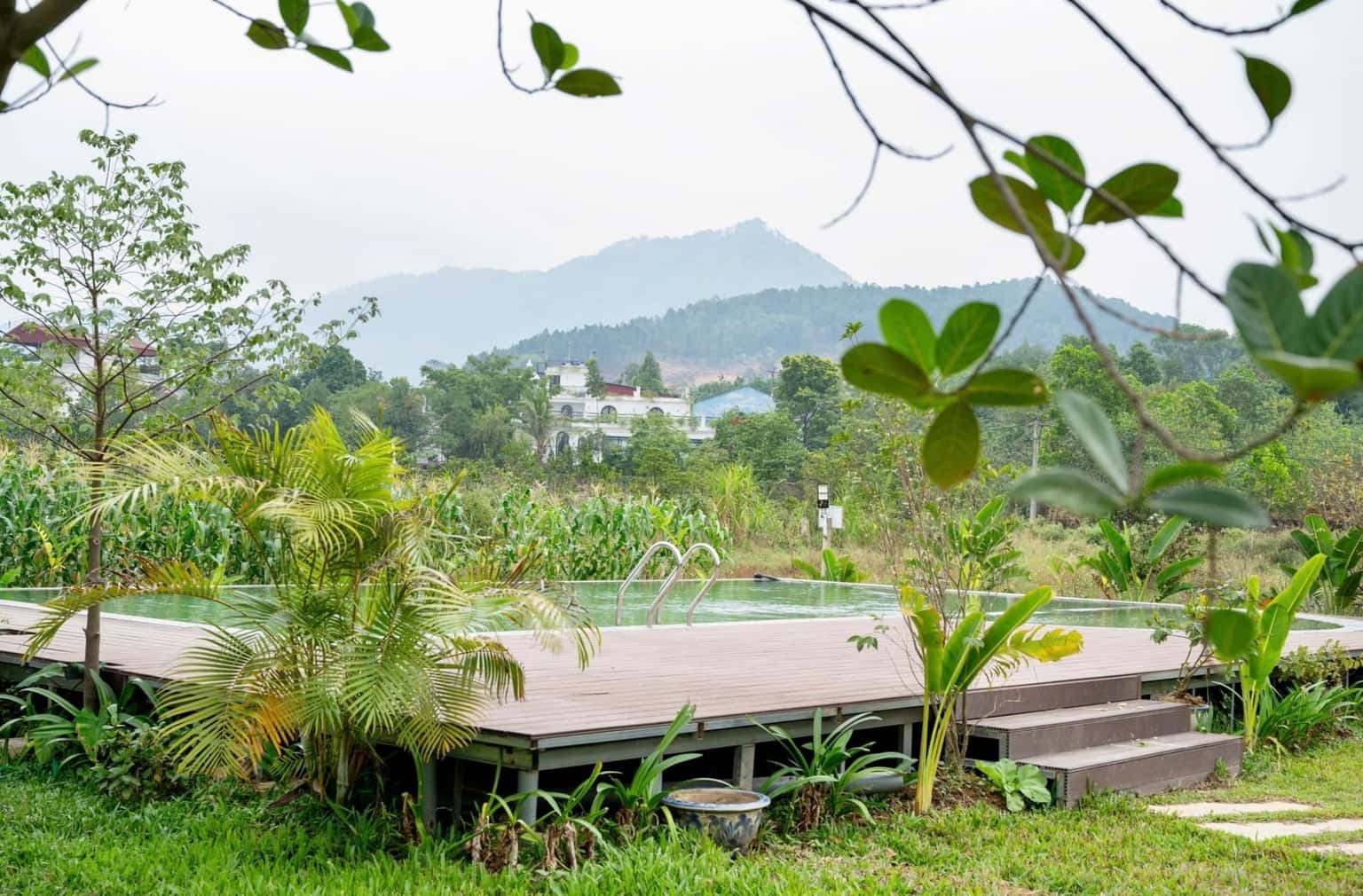 Latte Bungalow tại Minh Phú, Sóc Sơn — ảnh 10
