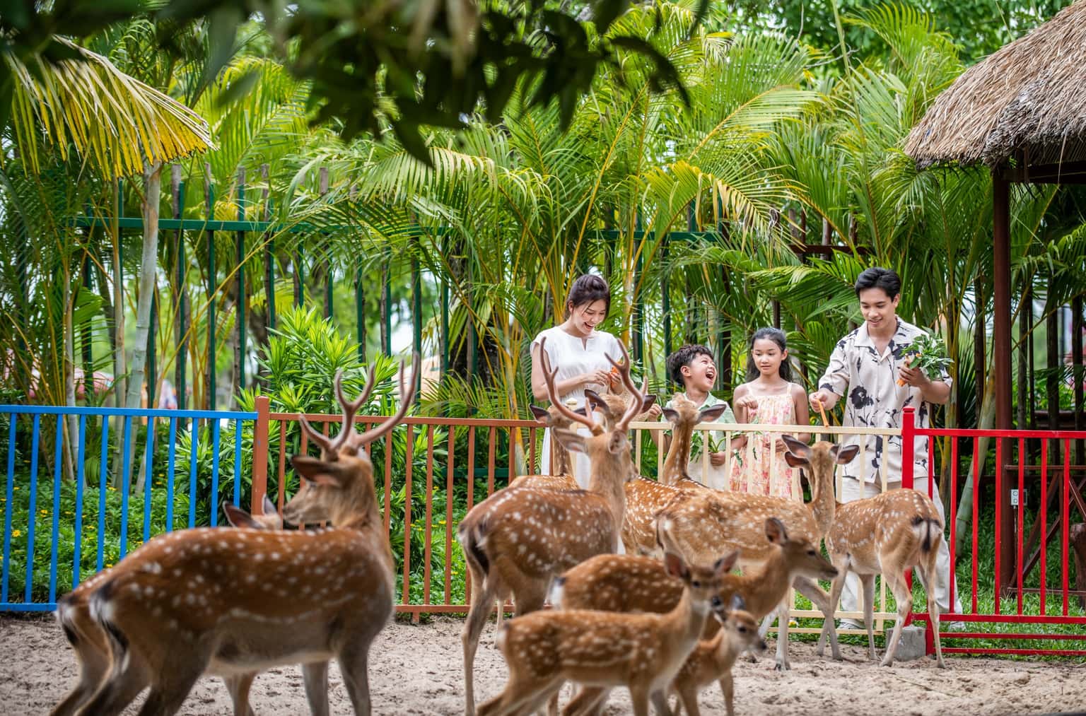 justfly vinwonders nam hoi an