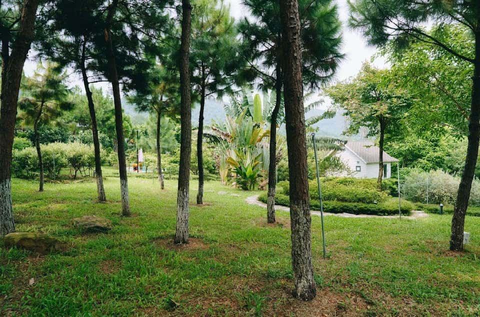 Sân vườn rộng 