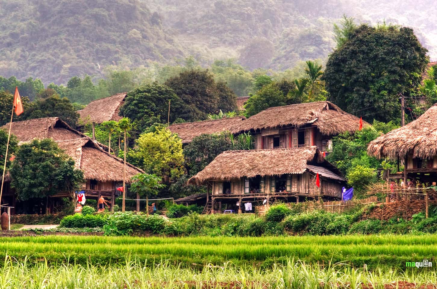 Bản Lác, Mai Châu Hòa Bình — ảnh 4