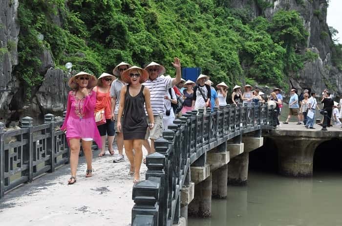 hang dau go dia diem du lich ha long attvdo15