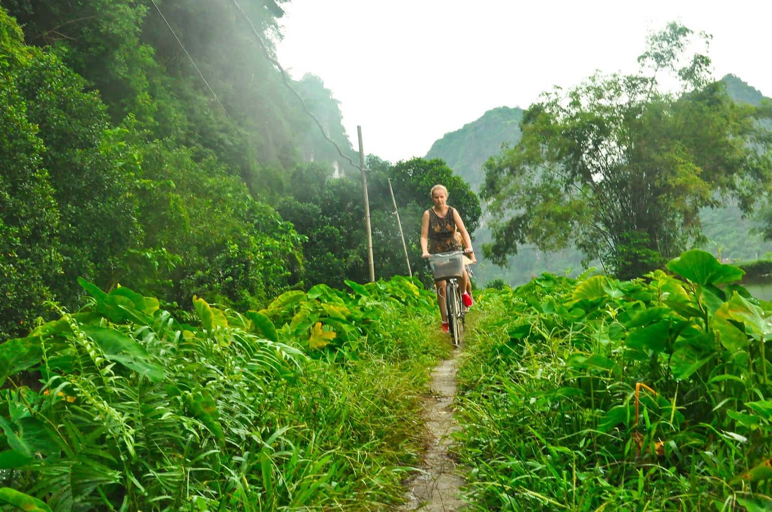 justfly ninh binh valley homestay ninh binh