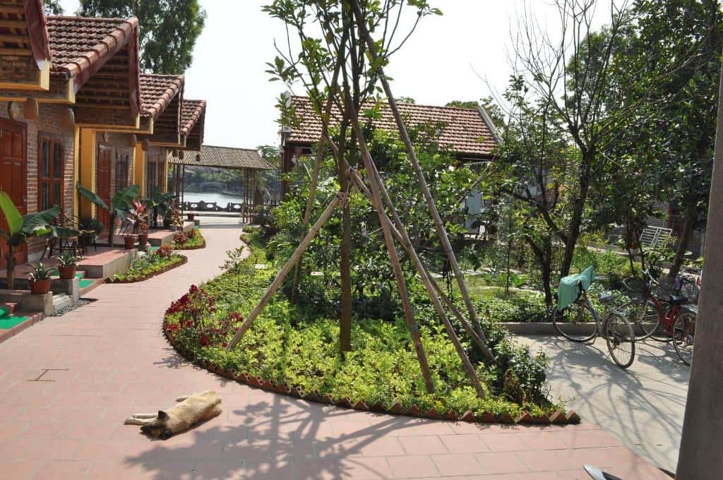 Tam Coc Lake View Homestay - Deluxe Double Room, Ninh Bình — ảnh 9