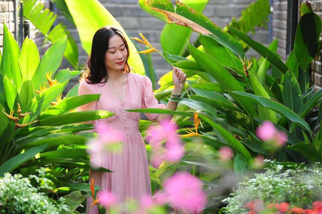 justfly tam coc banana bungalow ninh binh