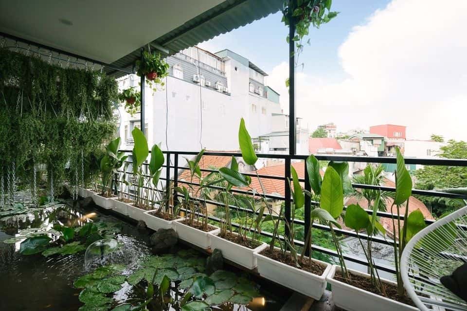 pagoda view 2 hang than lotus homestay