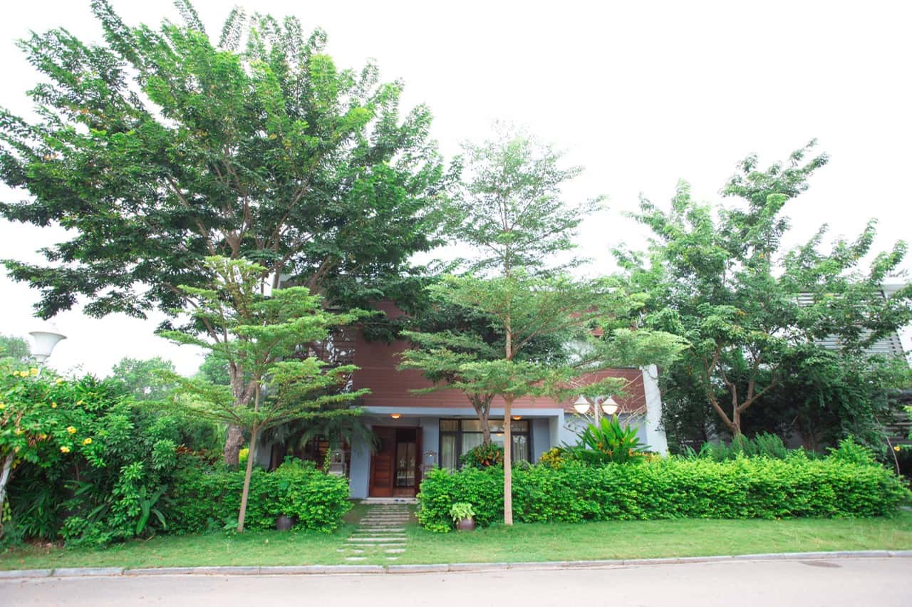 t111 flamingo dai lai
