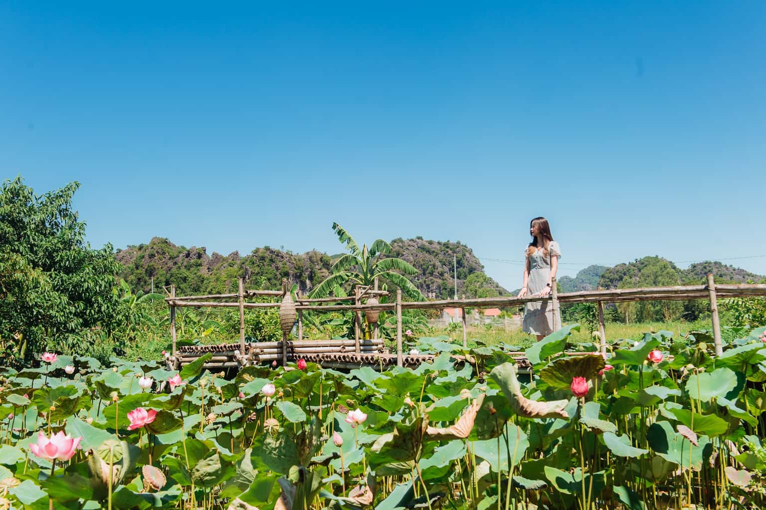 Nan House - Phòng Deluxe Double, Ninh Bình — ảnh 23