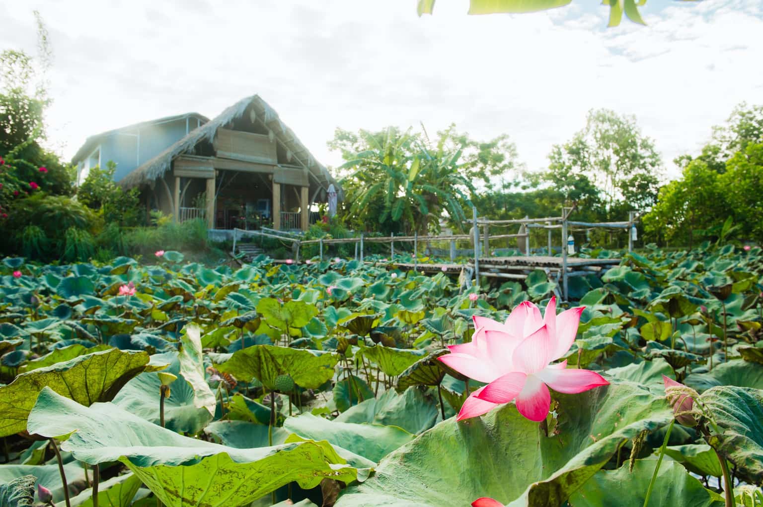justfly nan house ninh binh