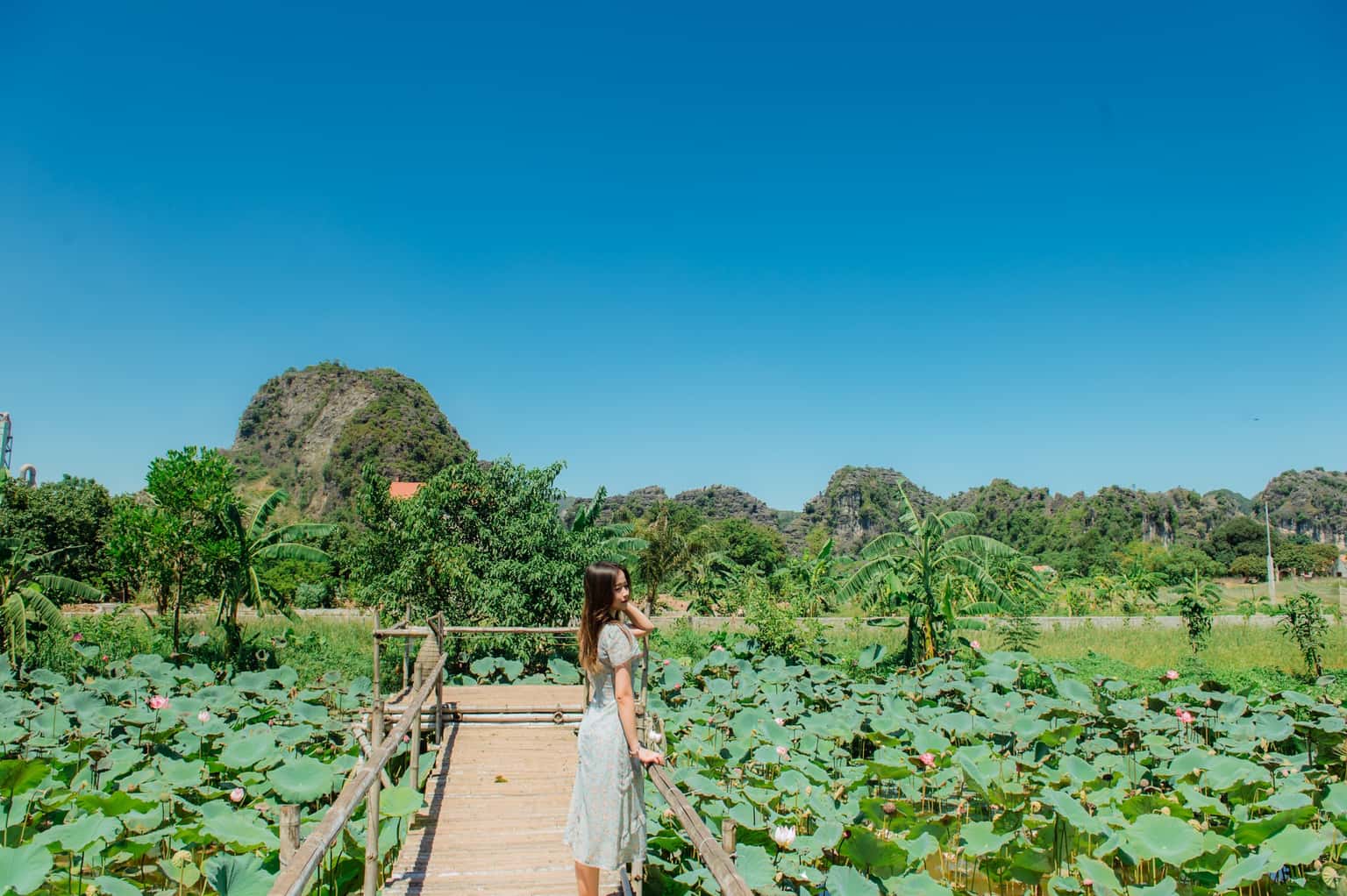 justfly nan house ninh binh