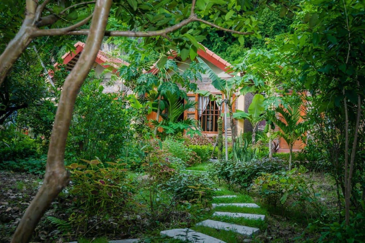 justfly tam coc lake view homestay ninh binh