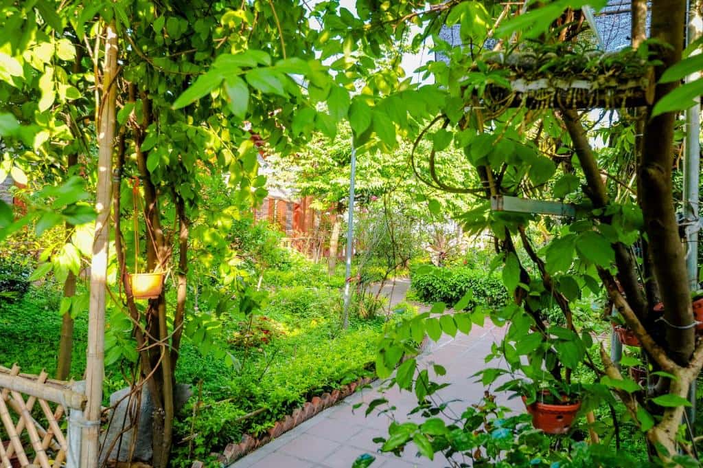 justfly tam coc river view homestay ninh binh