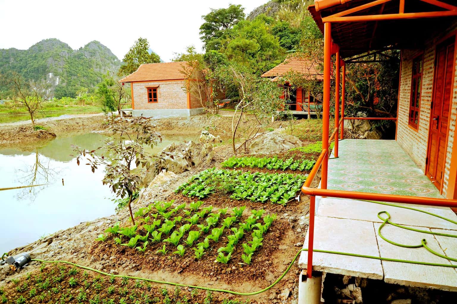 phong gia dinh view vuon trang an lotus lake homestay ninh binh