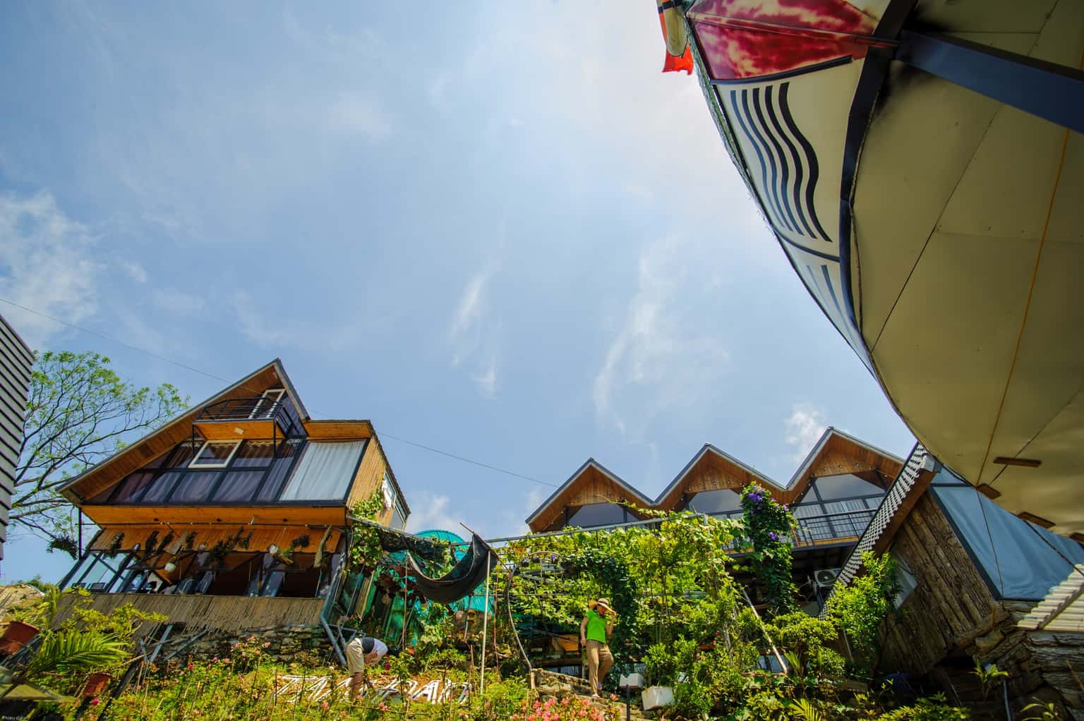 justfly khuon vien du thuyen tam dao