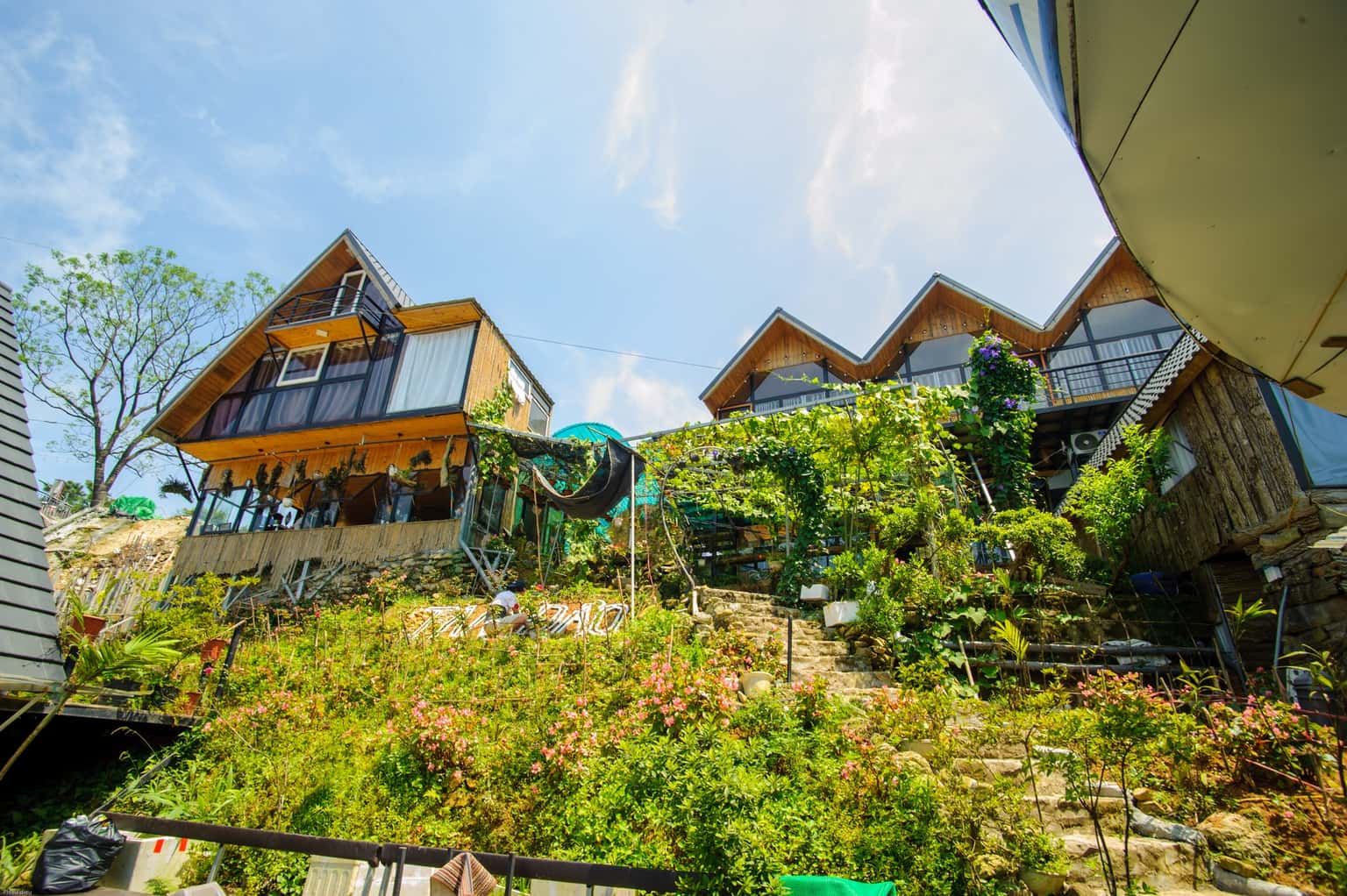justfly khuon vien du thuyen tam dao