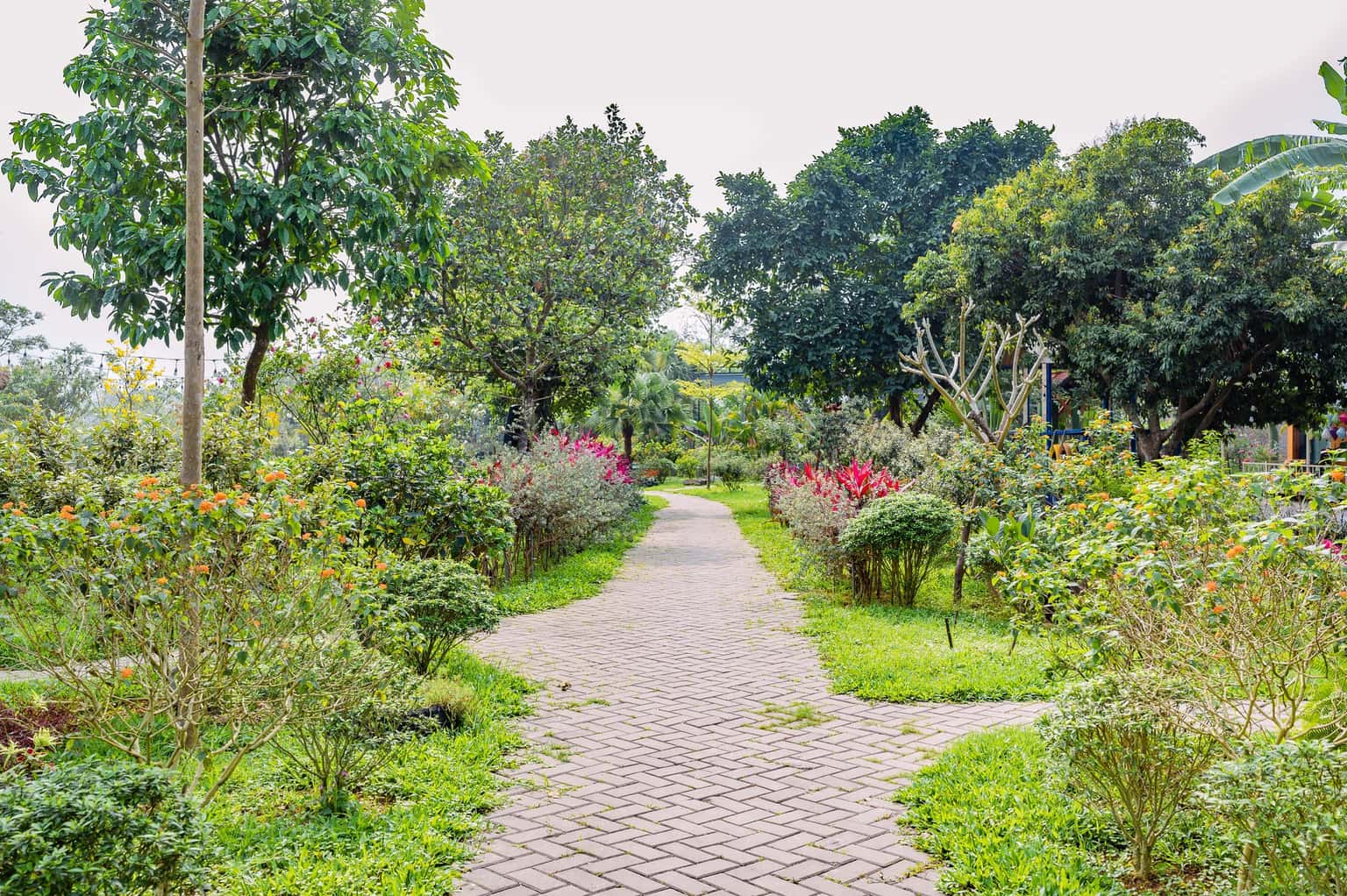 lotus villa ba vi 