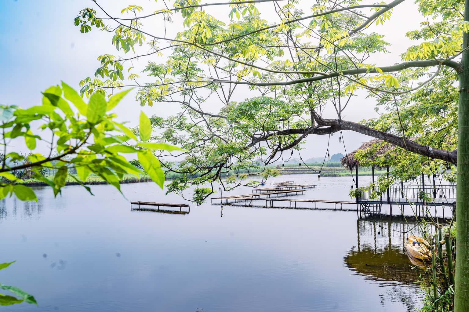 lotus villa ba vi 