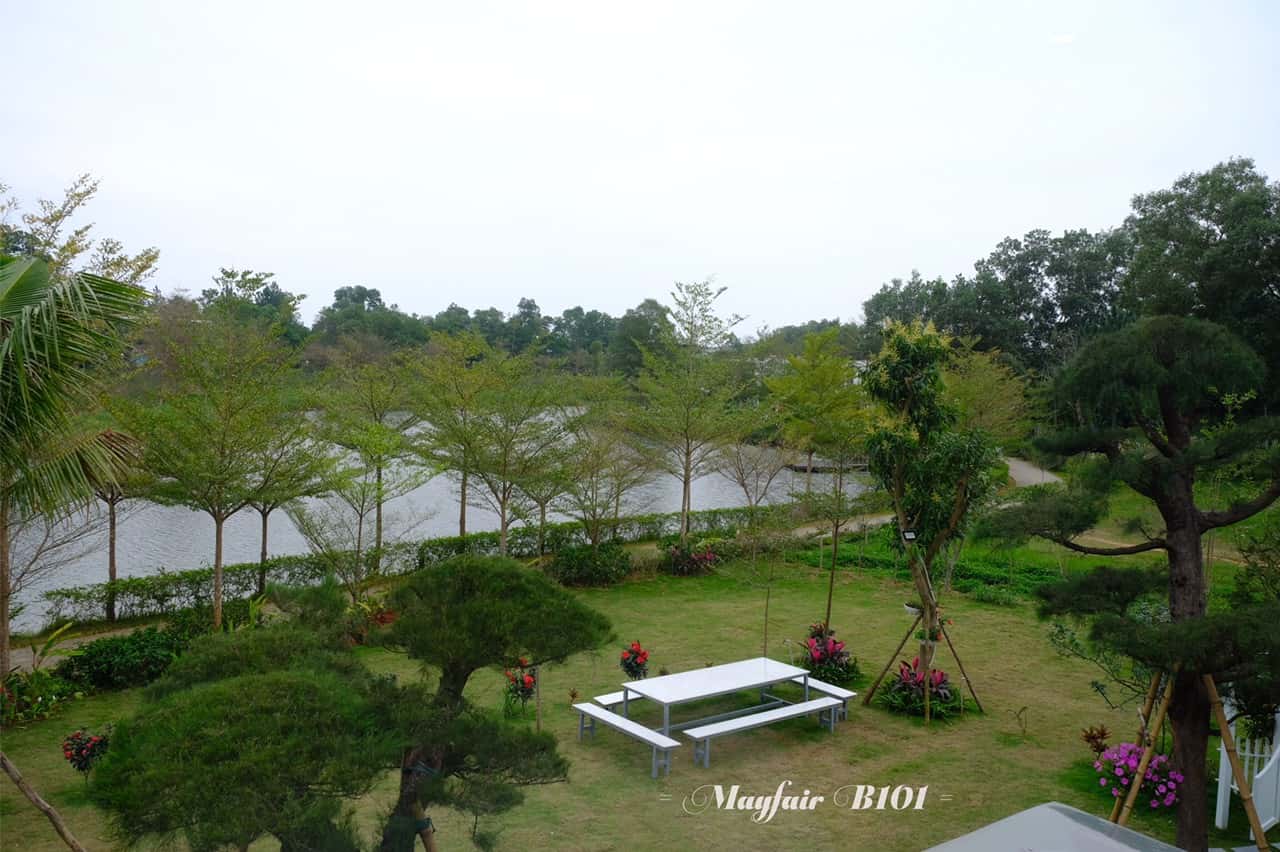 justfly b101 flamingo dai lai