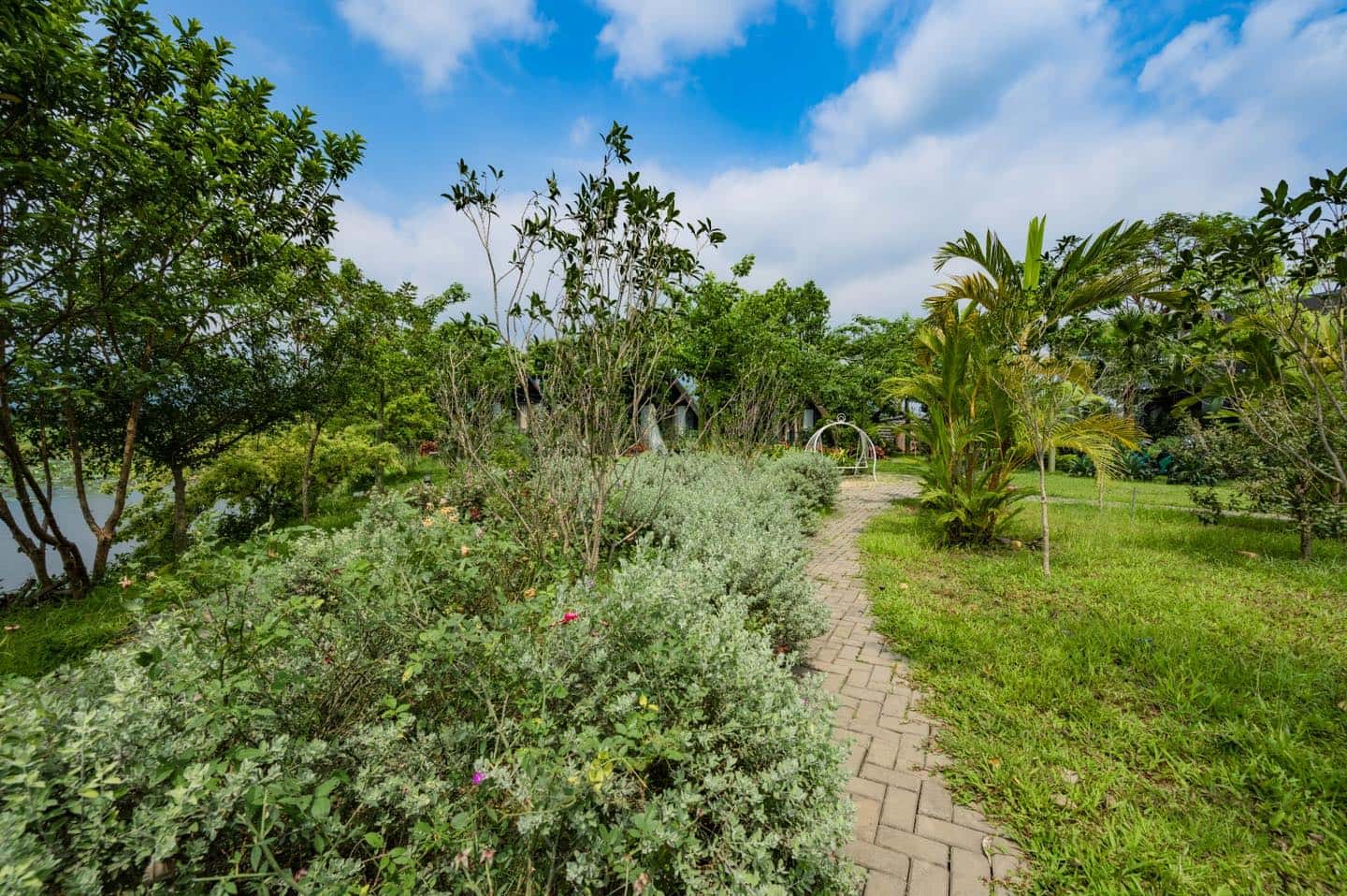 Sen Villas Nguyên Khu tại Vân Hòa, Ba Vì — ảnh 54