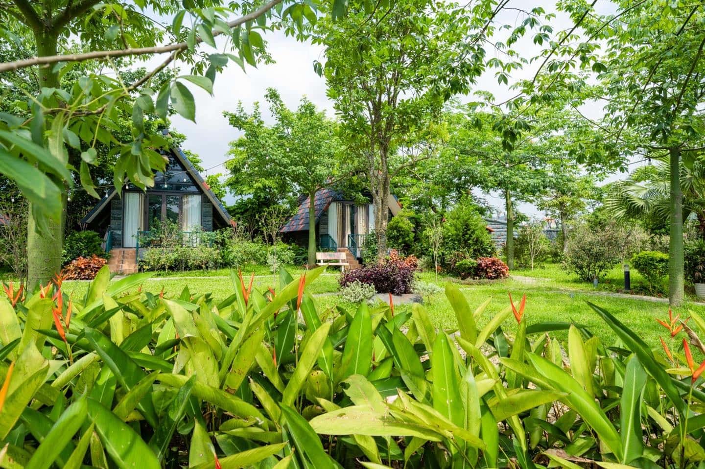 bungalow sen villas ba vi ha noi