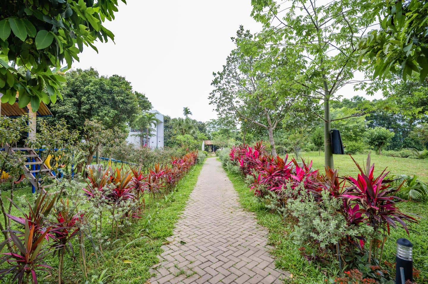 bungalow sen villas ba vi ha noi