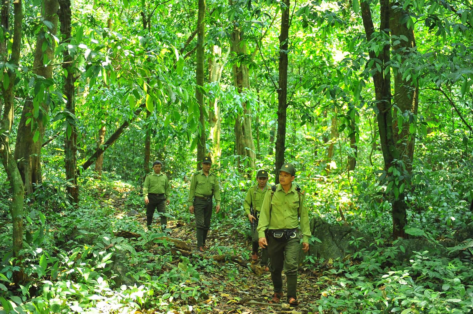Vườn Quốc gia Cúc Phương, Ninh Bình — ảnh 35
