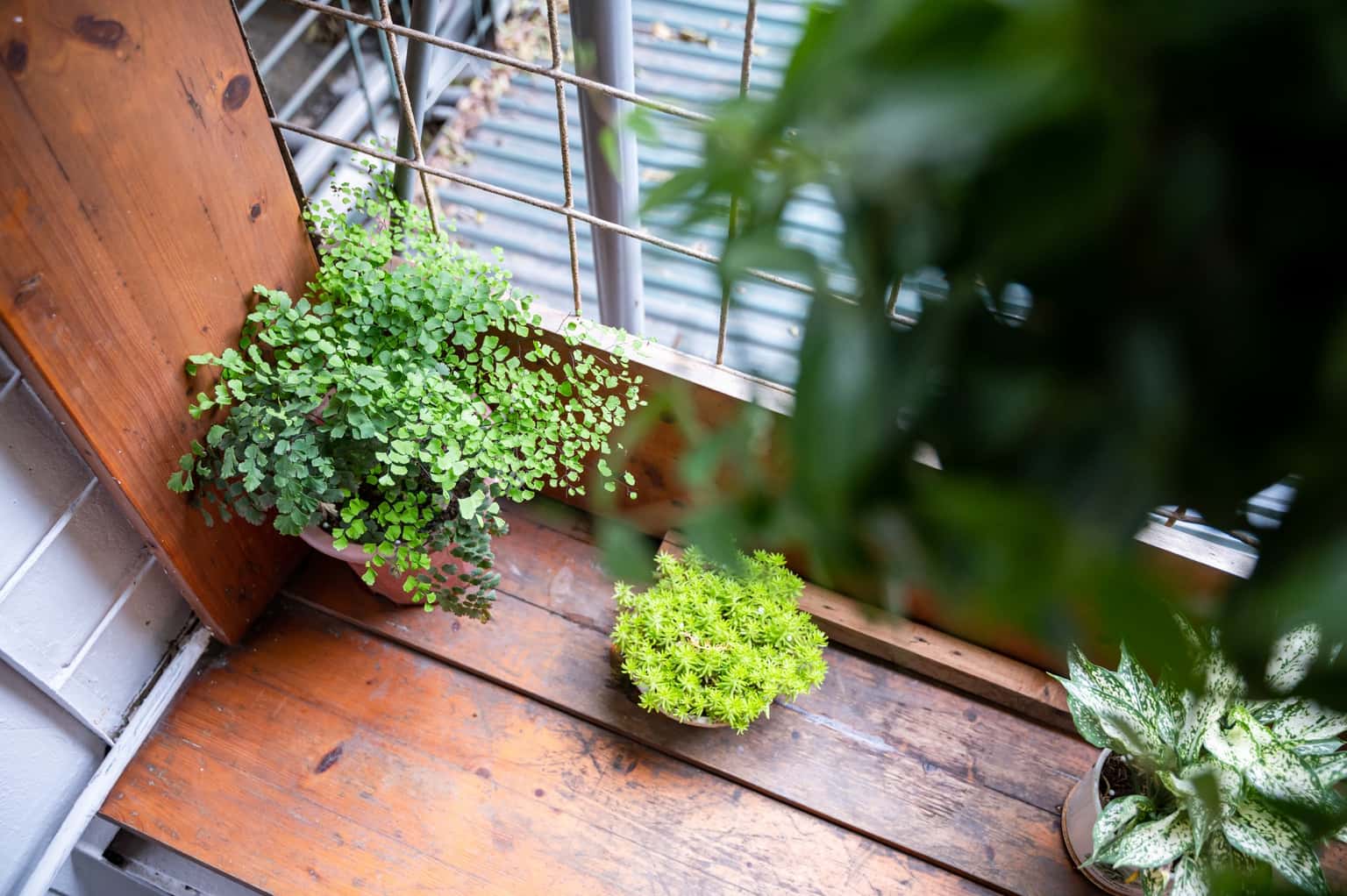 Cỏ Studio - An House, Tông Đản, Hoàn Kiếm — ảnh 24