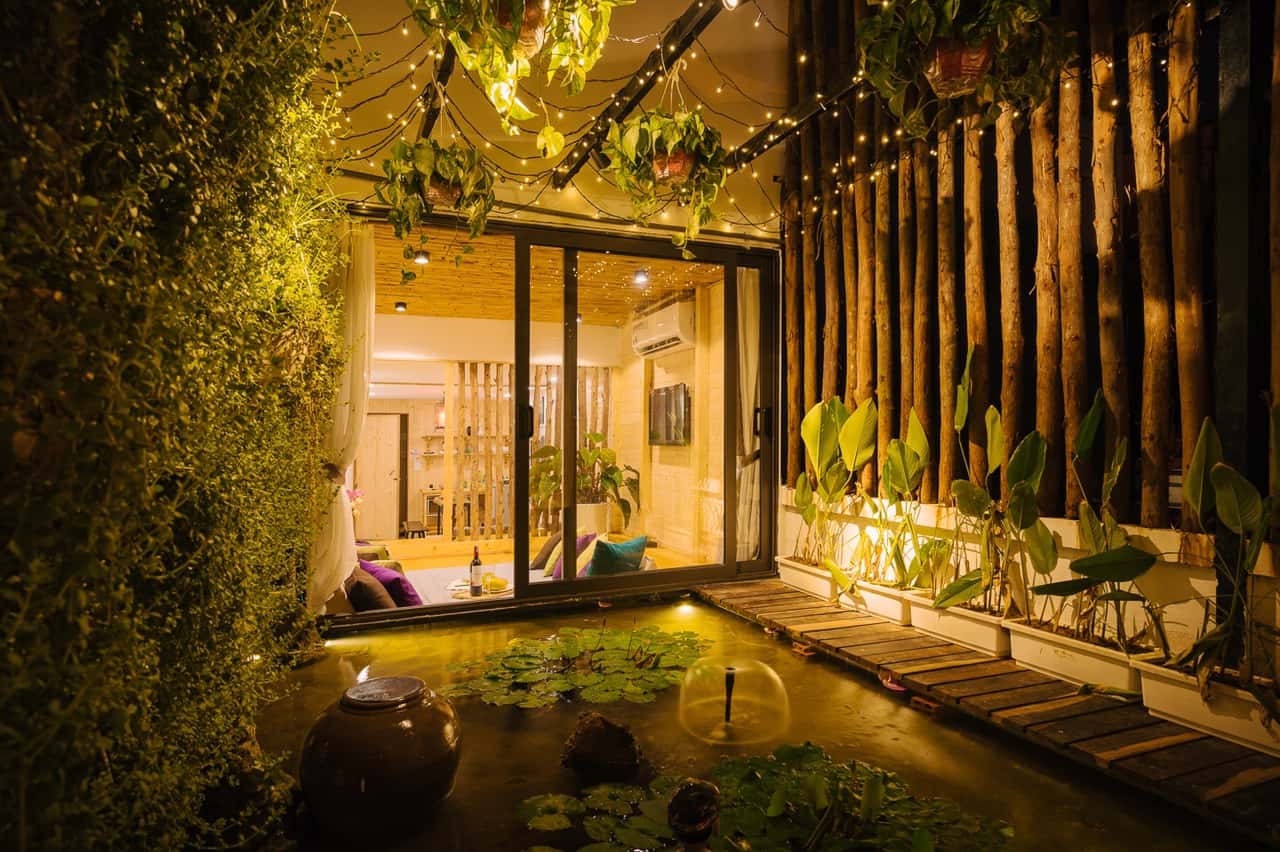Miniature lotus pond