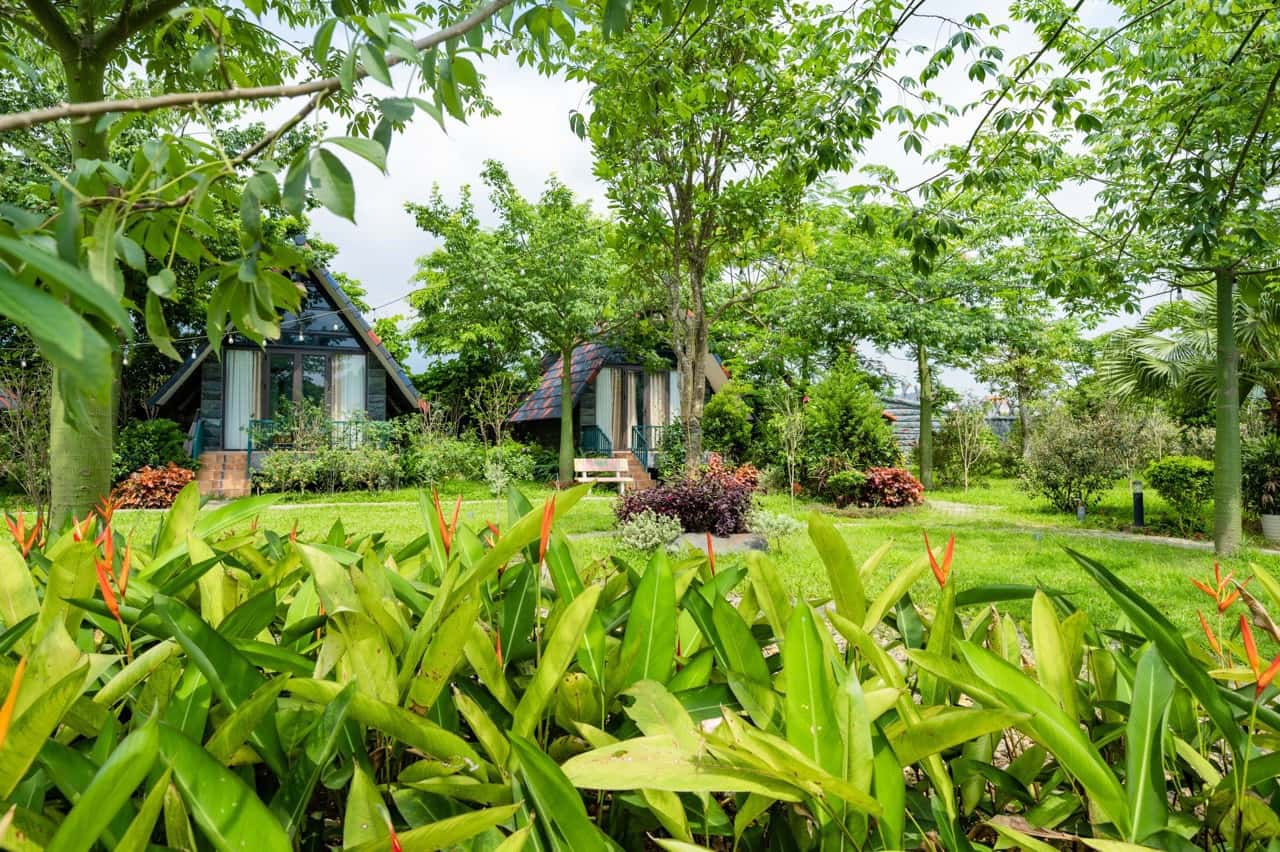 Sen Villas Nguyên Khu tại Vân Hòa, Ba Vì — ảnh 37