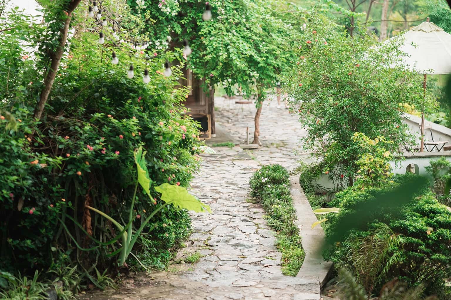 Nhà Mơ (Xoan Retreat) tại Đà Bắc, Hòa Bình — ảnh 23