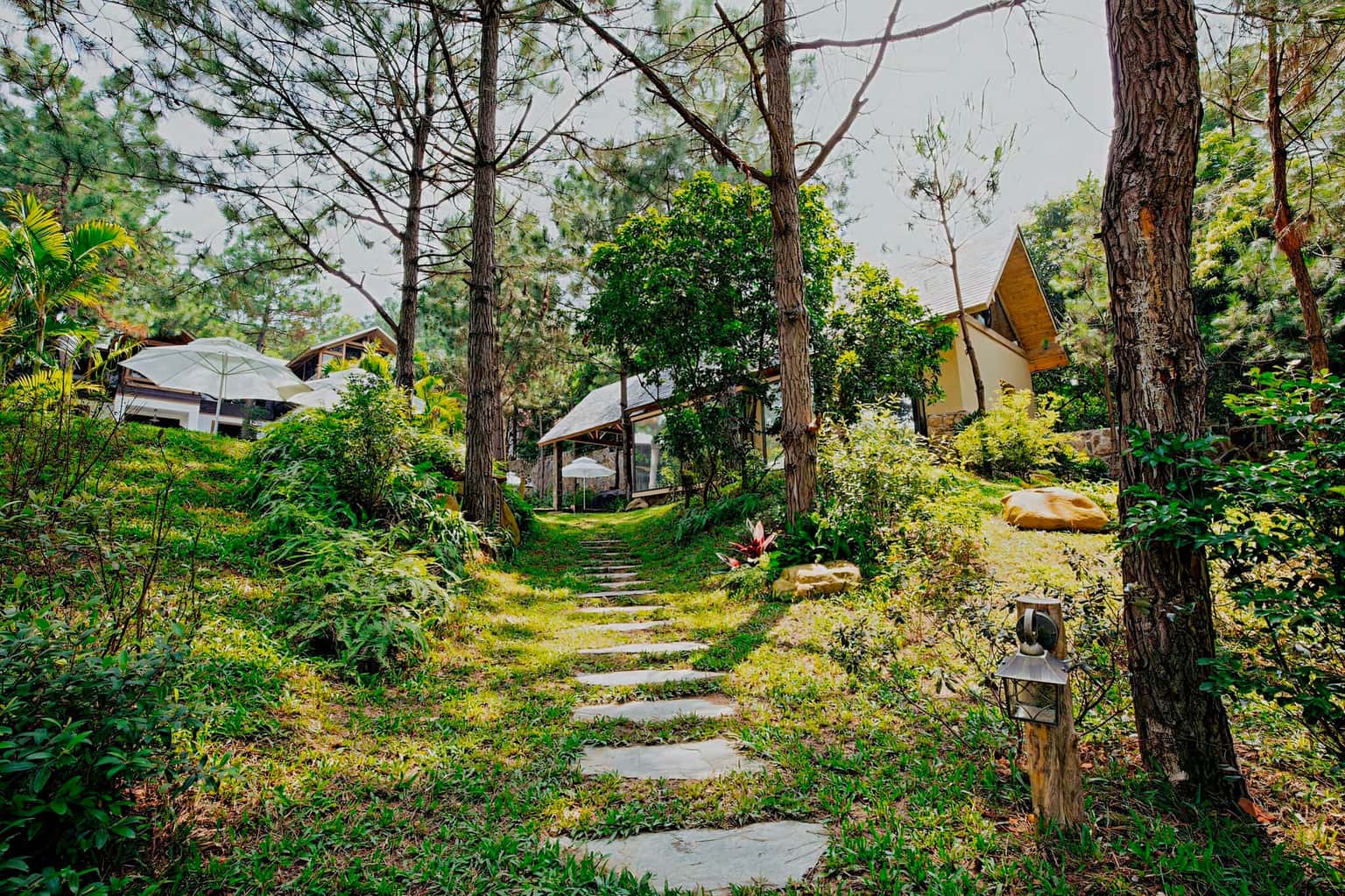 khuon vien amaya home homestay soc son ha noi 