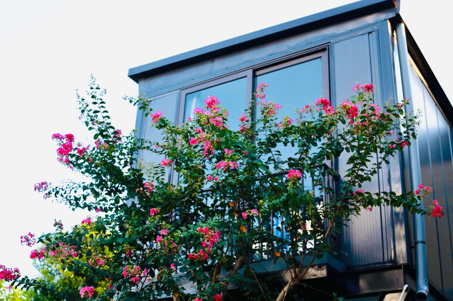 Amavie House 2, Ba Vì () — photo 7
