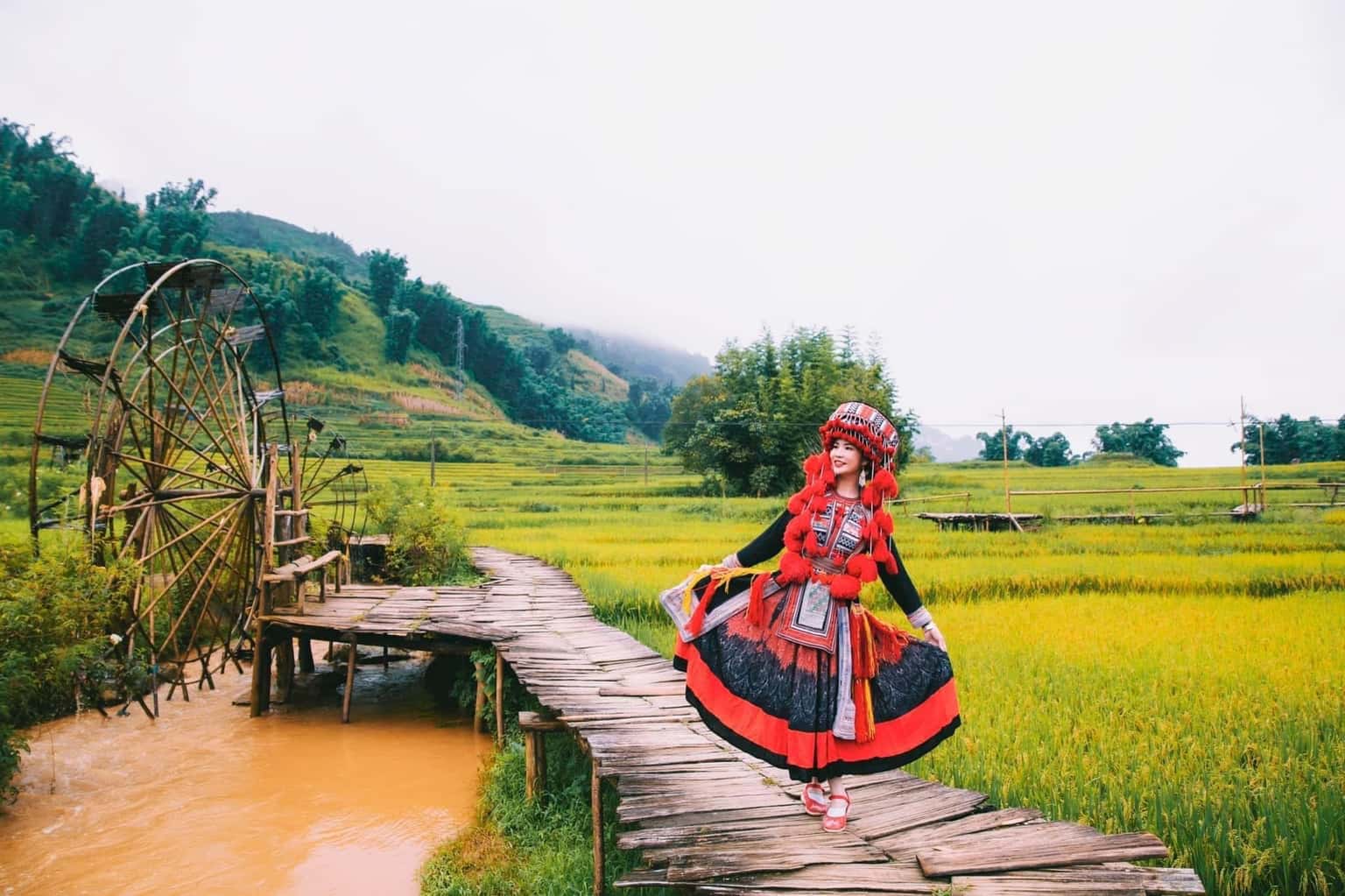 justfly ban cat cat sapa