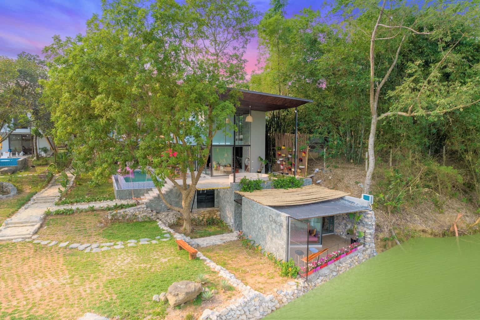 justfly hoa sau gieng hoa binh 