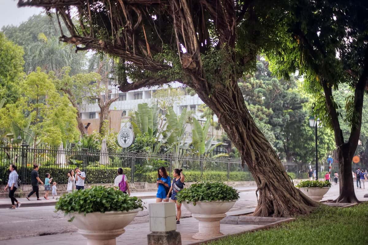 vuon hoa ly thai to hoan kiem dia diem du lich ha noi atthan34