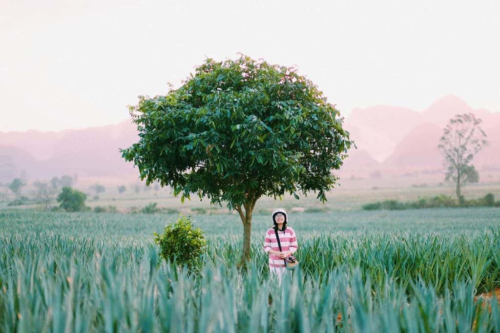 doi dua tam diep dia diem du lich ninh binh attnib16