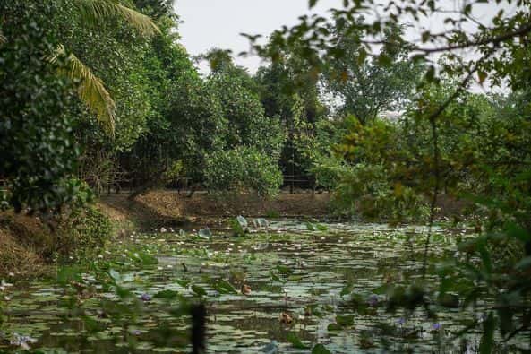 Room 302 (Một Homestay), Sóc Sơn — ảnh 12