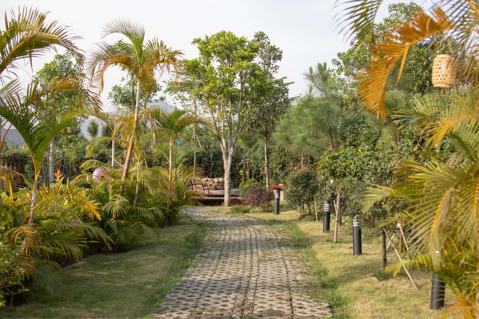Mimi's House tại Minh Phú, Sóc Sơn — ảnh 5