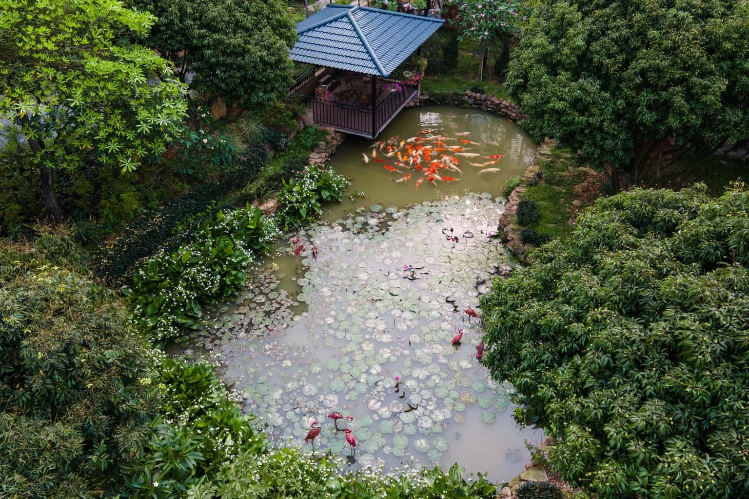 位于Sóc Sơn Lâm Trường的Eagle Villa整栋别墅 — 照片 17