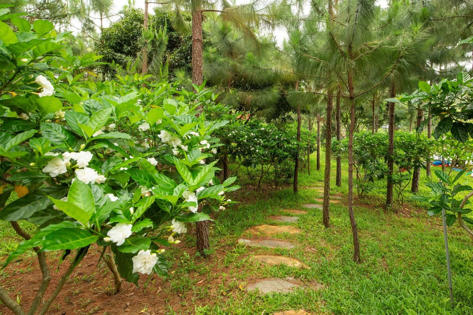 位于Sóc Sơn Lâm Trường的Eagle Villa整栋别墅 — 照片 16