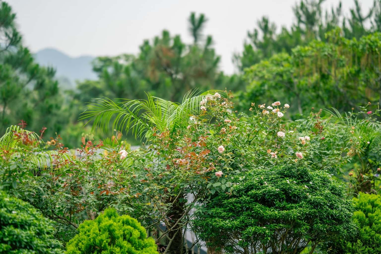 Bungalow (Eagle Villa) tại Lâm Trường, Sóc Sơn — ảnh 16