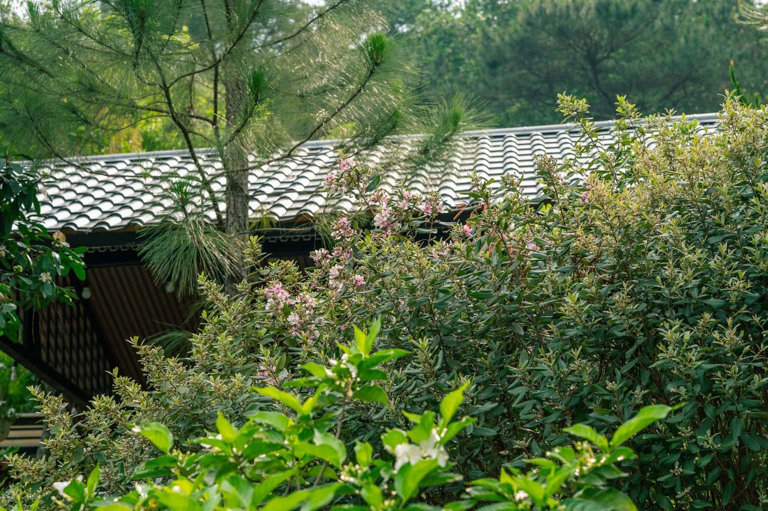Bungalow (Eagle Villa) tại Lâm Trường, Sóc Sơn — ảnh 17