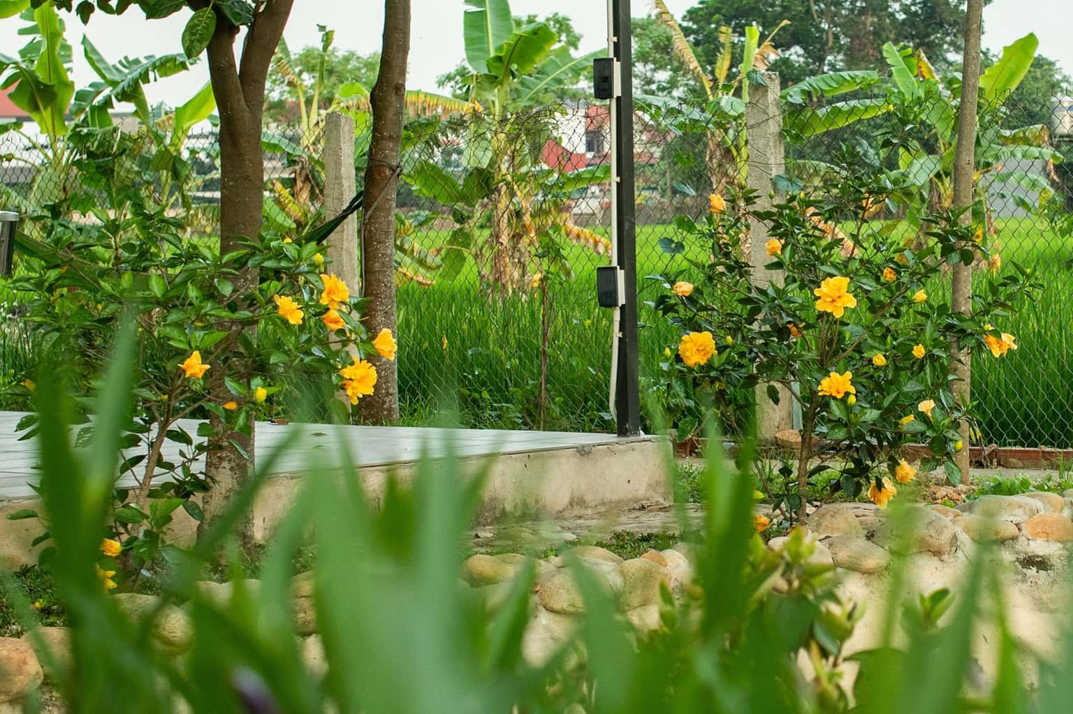An Villa at Minh Phú, Sóc Sơn — photo 24
