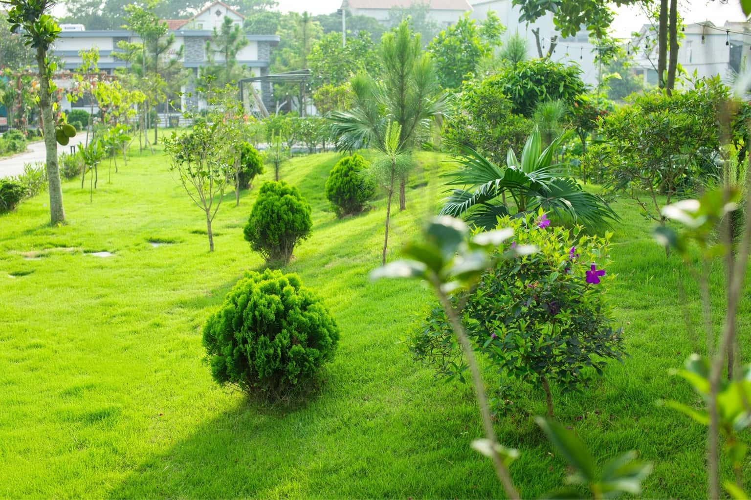 An Villa at Minh Phú, Sóc Sơn — photo 17