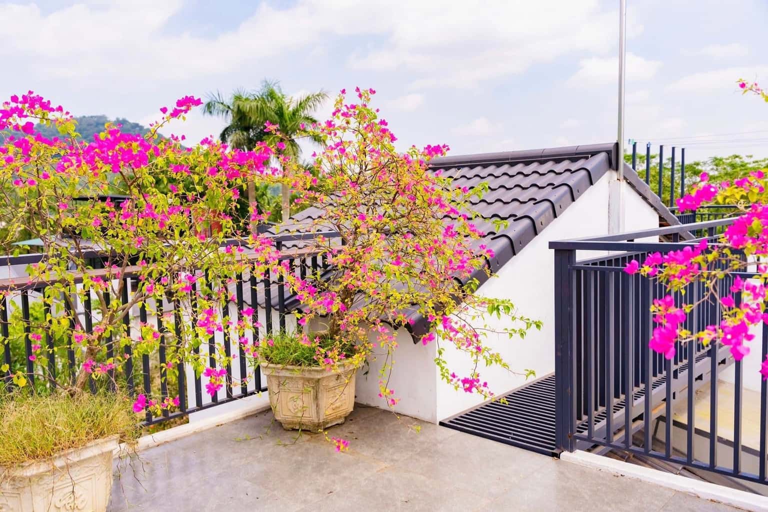 Akira Villa tại Vân Hòa, Ba Vì — ảnh 59