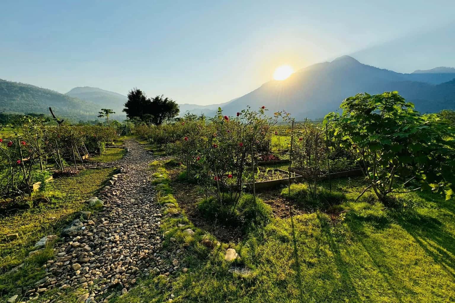 位于Vân Hòa, Ba Vì的Villa Lali Home — 照片 22