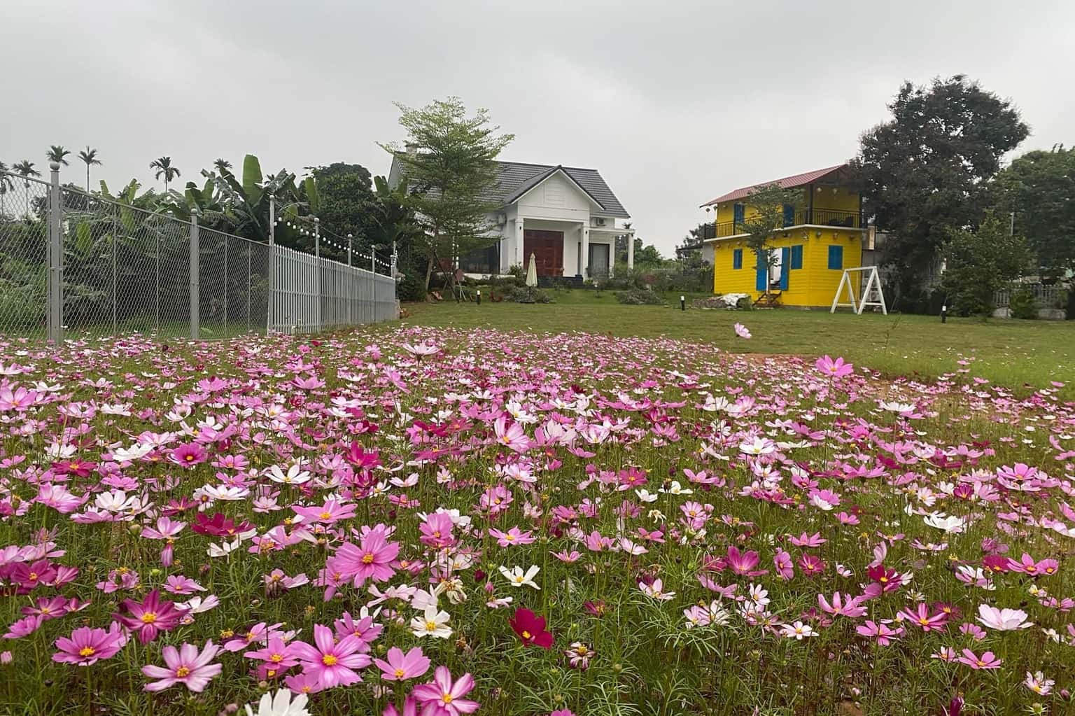 位于Vân Hòa, Ba Vì的Villa Lali Home — 照片 23